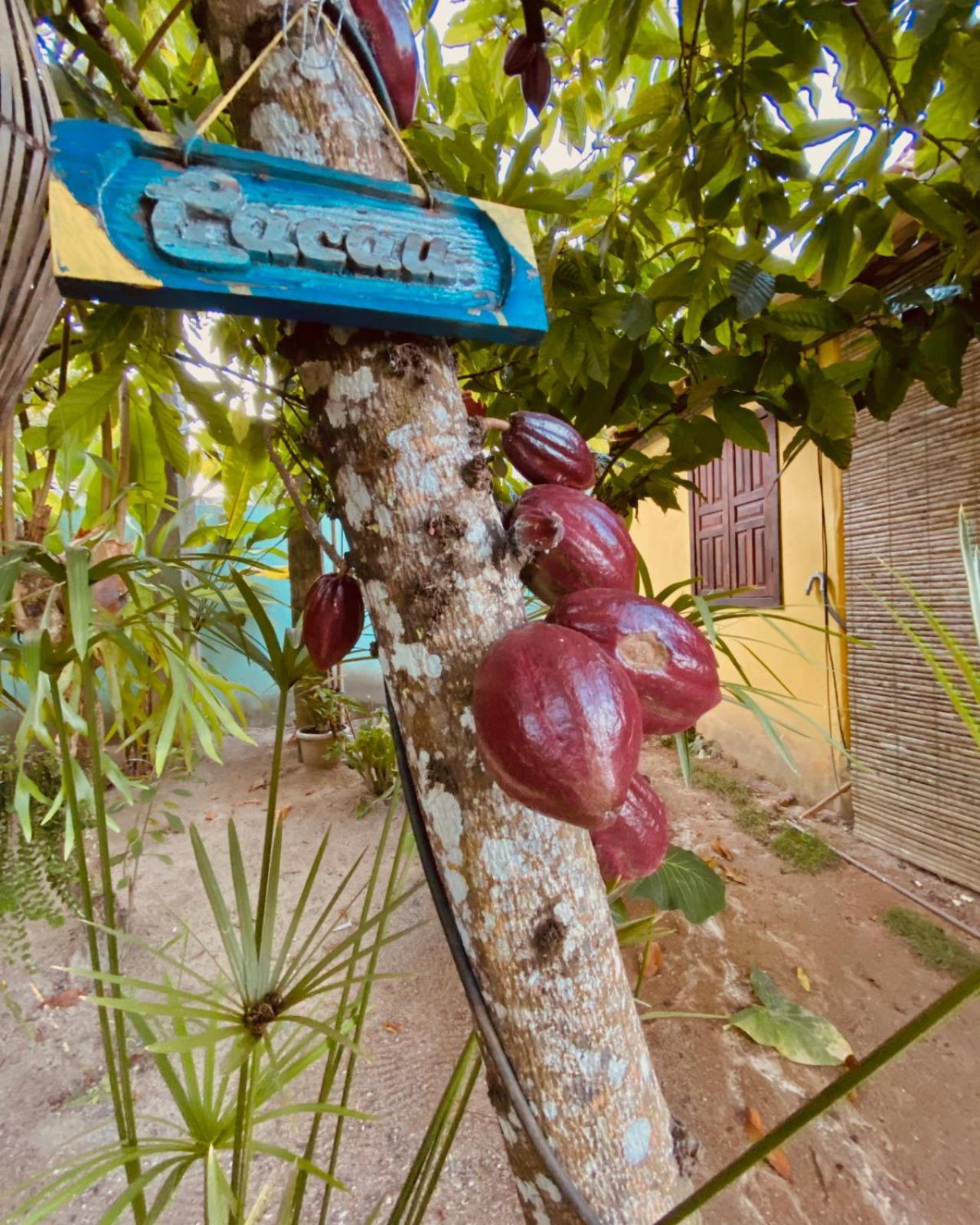 Caraiva Recanto Pousada De Ferias Eksteriør bilde